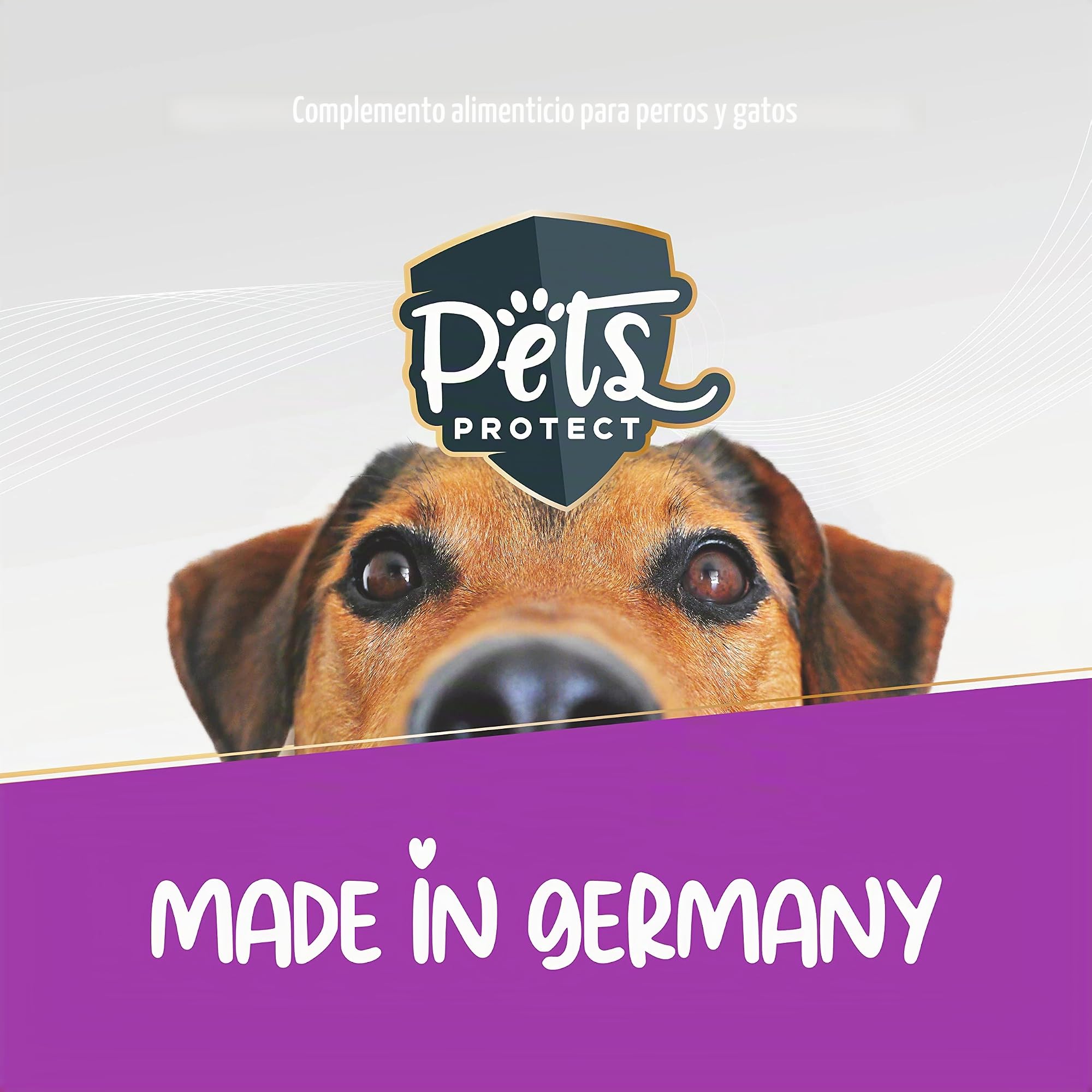 Pets Protect Pets Perfect Taurine Powder 150 g, adecuado para gatos y perros de todas las edades, apoya la función ocular normal, promueve la vitalidad y la función cardiovascular normal