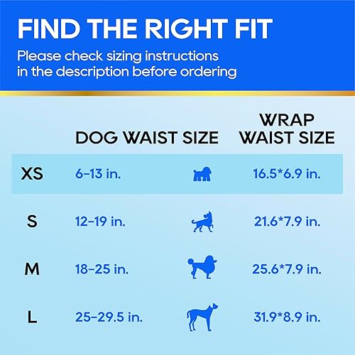 Miniatura 3 de HONEY CARE All-Absorb A27 - Envoltura para perro macho, 50 unidades, extra pequeña