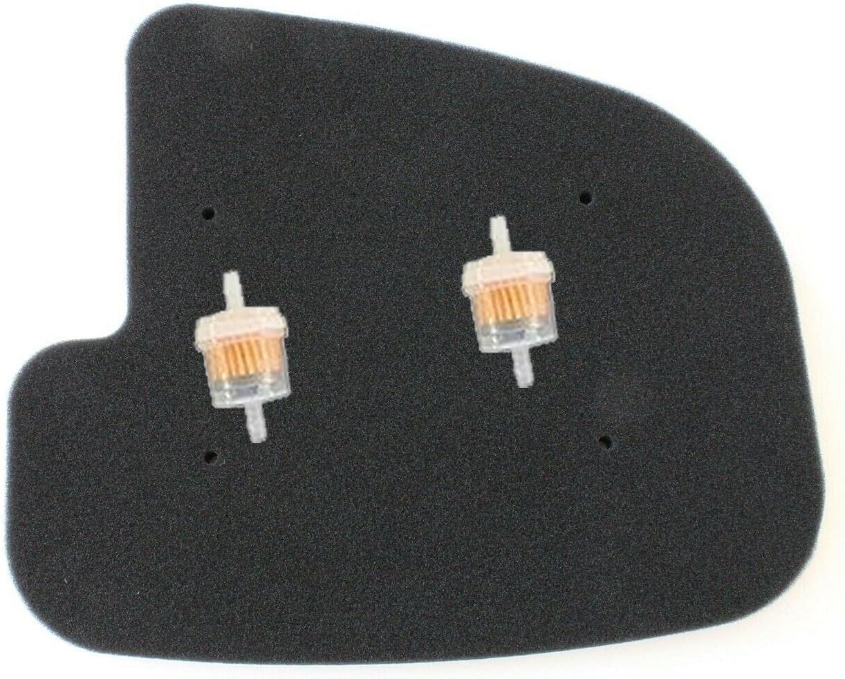 Amazon.com: HQparts Air Filter For Kawasaki 2002 Prairie 650