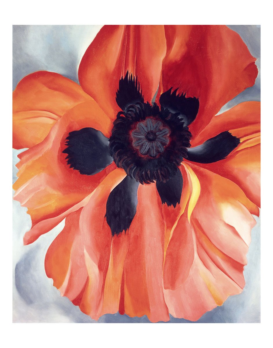 Amazon.com: McGaw Graphics Red Poppy, No. VI, 1928 by Georgia O