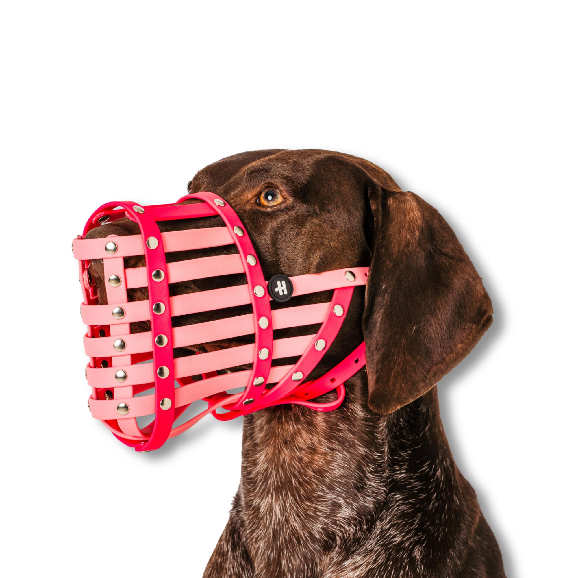Dog Muzzle for Medium to XL Dogs – Adjustable, Comfortable & Durable Biothane Design with Stainless Steel Fixings – Waterproof, Lightweight & Soft Fit by Happy Muzzle Co. (Pink, Size Bone)