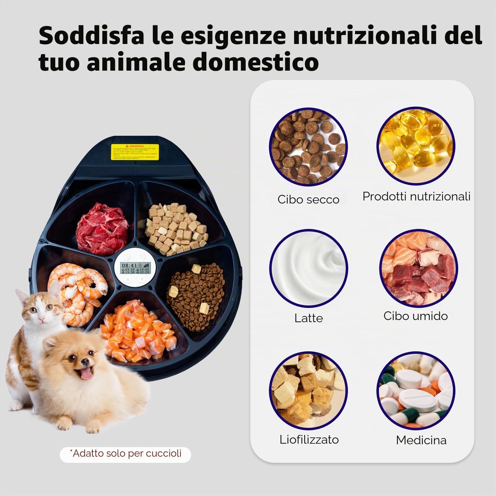 Mangiatoia automatica per gatti con raffreddamento, tecnologia di raffreddamento a semiconduttore, funzione di temporizzazione, 5 scomparti, piatto premium, lavabile, per gatti e cani