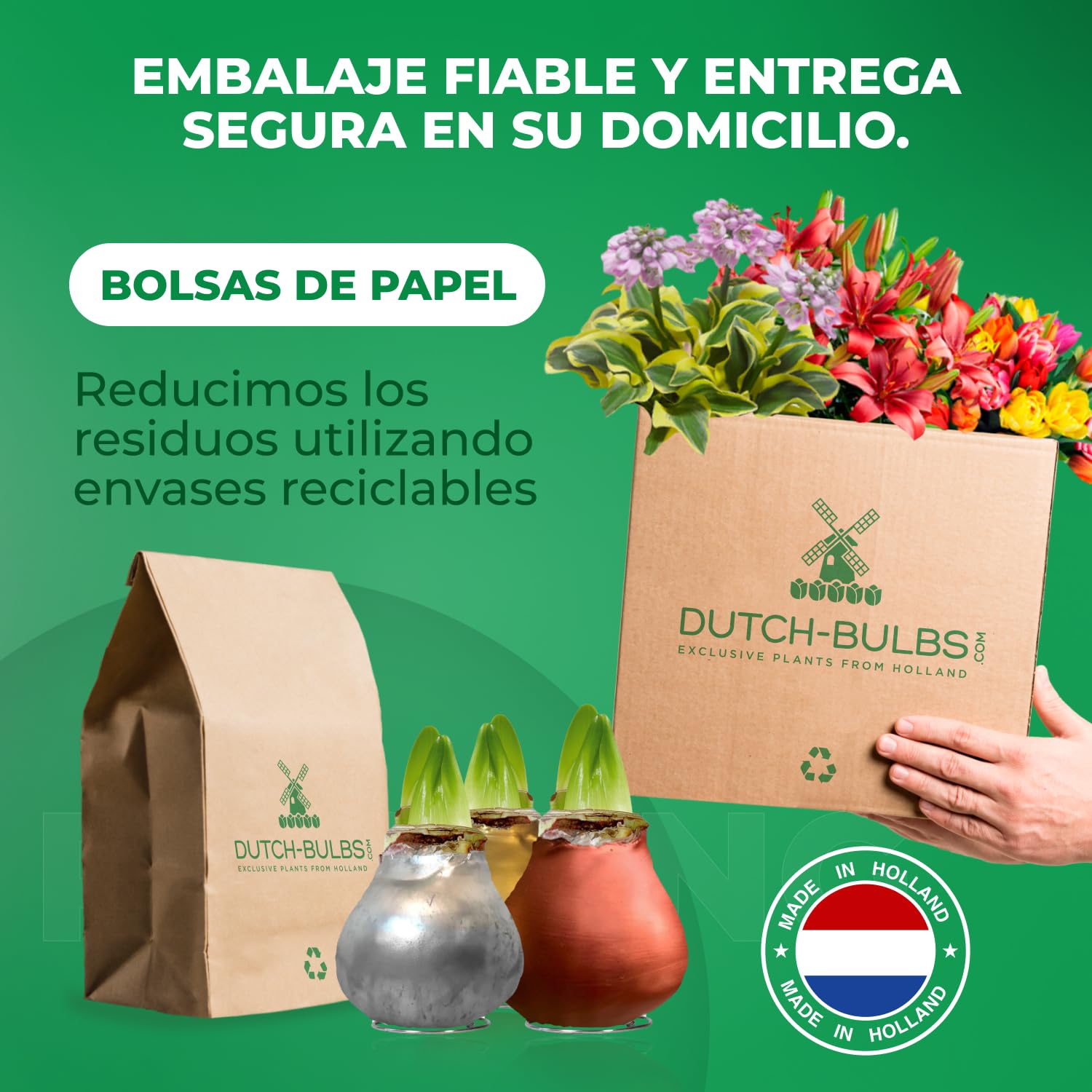 Colección de bulbos de amarilis de cera en plata, oro y bronce;