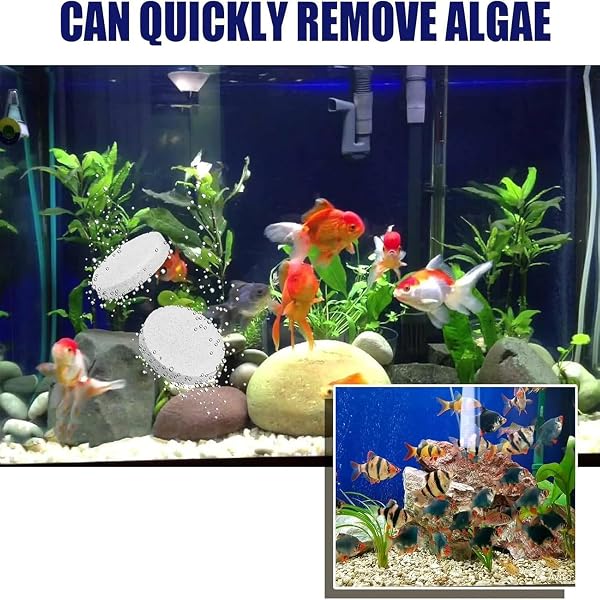 Comprimés Puissants de Purification d'eau d'aquarium pour Bac à Poissons, Lot de 35, Comprimés de Purification d'eau pour Aquariums éliminant la Turbidité, éliminent la Turbidité de l'eau (5 pièces) - 4