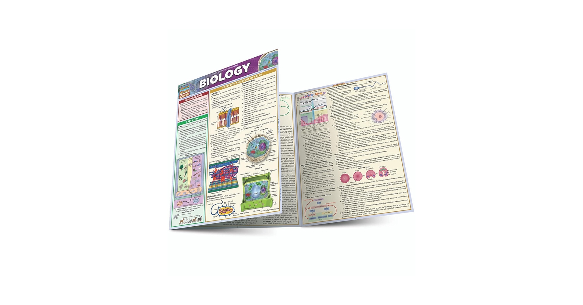 Biology: a QuickStudy Laminated Reference Guide (QuickStudy