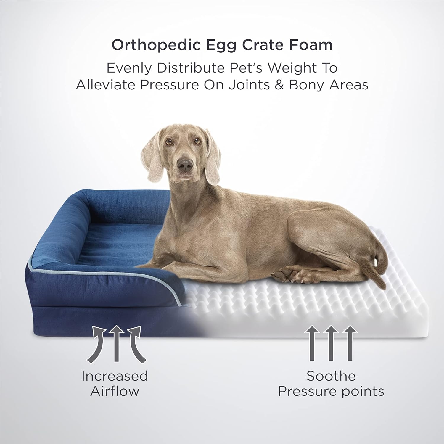 Bedsure Orthopedic Dog Bed for Extra Large Dogs - XL Waterproof Dog Bed Medium, Foam Sofa with Removable Washable Cover, Waterproof Lining and Nonskid Bottom Couch, Pet Bed, Navy Blue : Pet Supplies