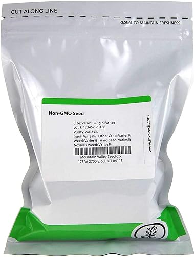 Miniatura 3 de Mountain Valley Seed Company - Semillas de vegetales de rúcula sin OMG de 1 libra para jardín al aire libre y ensalada de interior Microgreens -