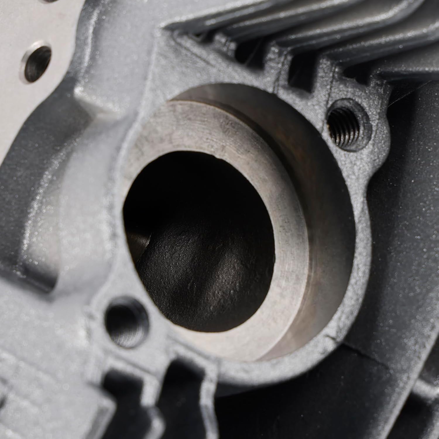 Areyourshop Complete Cylinder Head for Suzuki GS200 QS200 DR200 GXT200 Qingqi QM200GY