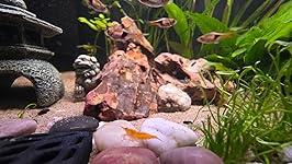 Review Image by Amazon Customer Amazon Customer