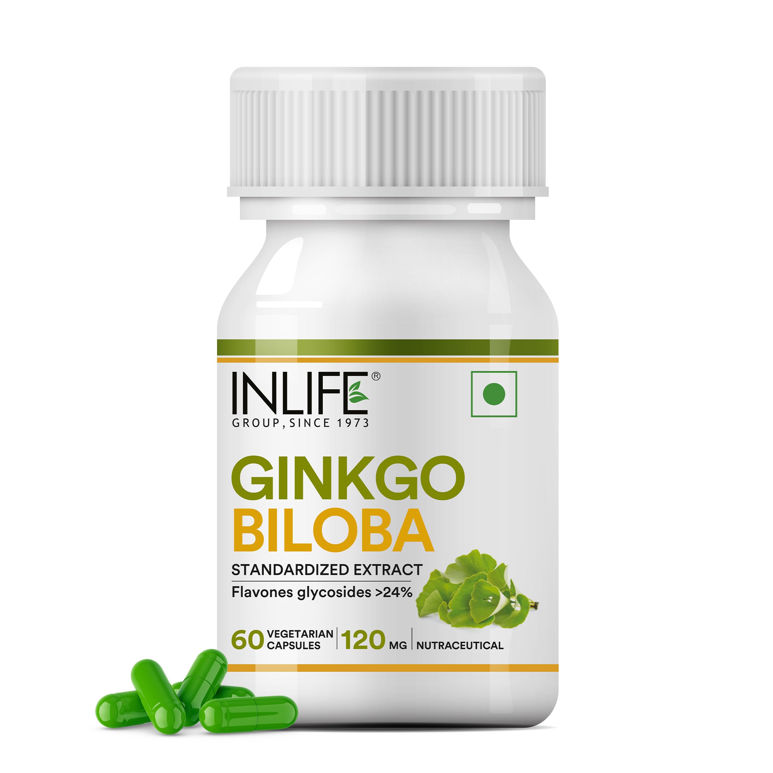 Ginkgo Biloba Extract Capsules 120mg | Herbal Supplement | Memory Support - 60 Vegetarian Capsules (Pack of 1, 60)