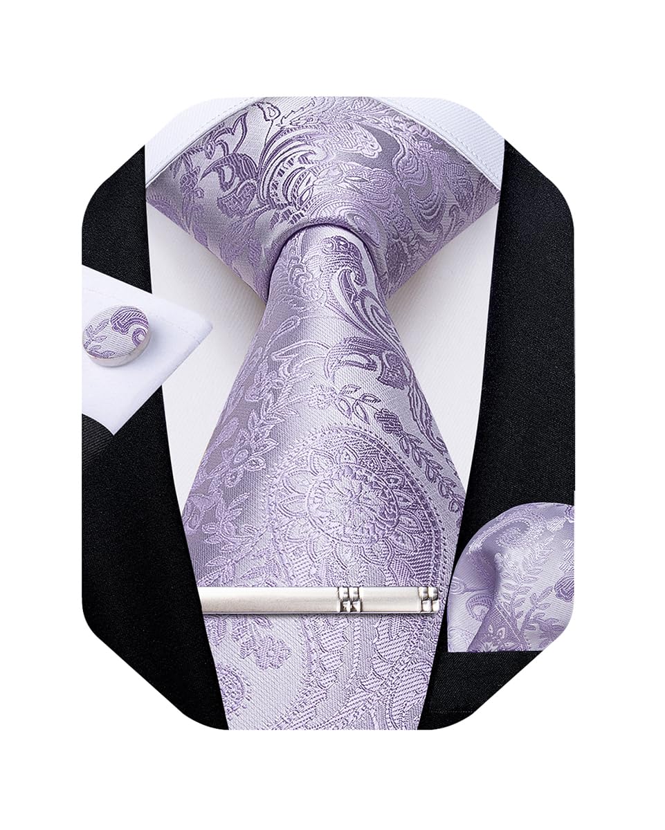 DiBanGu Silk Floral Ties for Men Woven Paisley Necktie