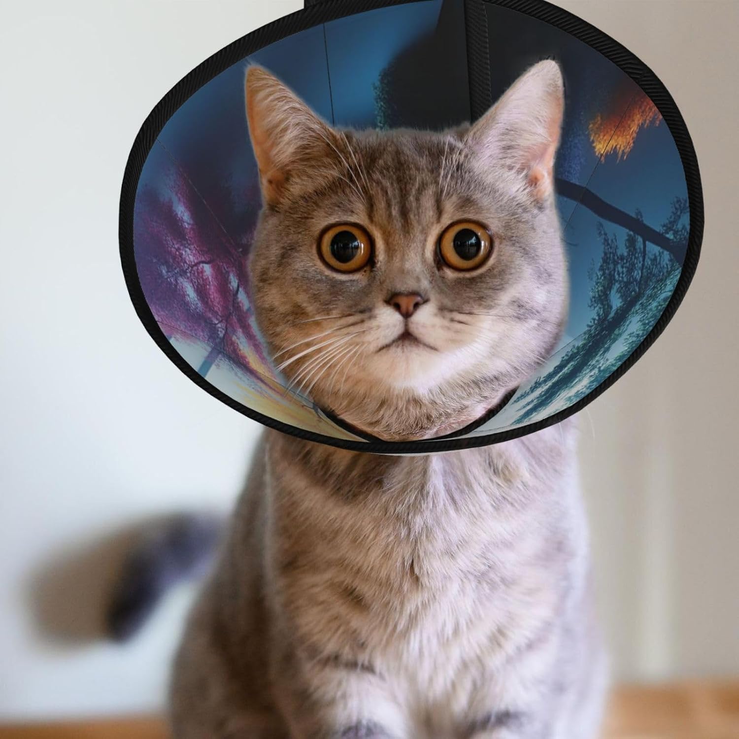 Custom Pet Cones - Unique Design Cat & Dog Cone, Collar for Post-Surgery Recovery, Adjustable Neck Zen Garden Medium