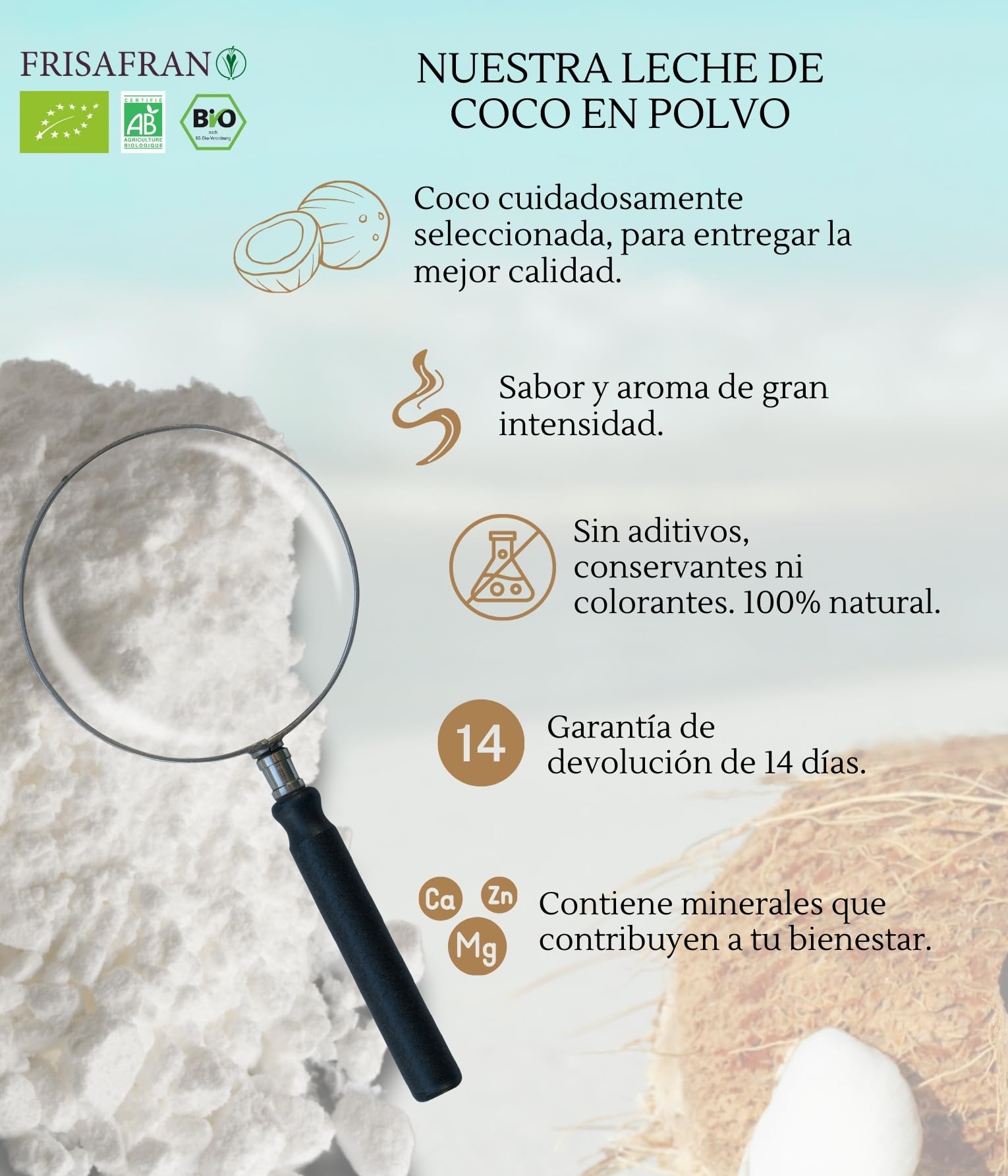 Leche de coco orgánica en polvo 100g Bio sin azúcar sin gluten vegana