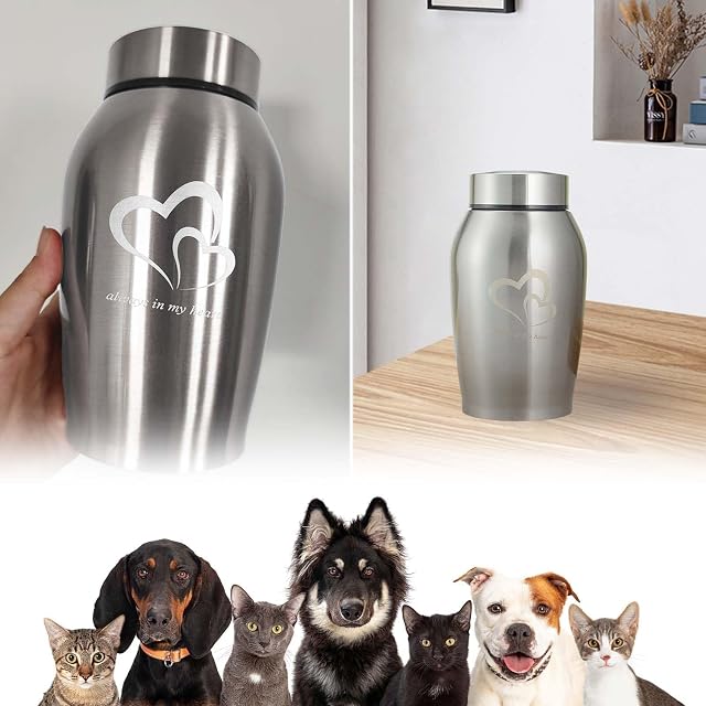 Foto 5 de 6 de Urna de cremación,Urna conmemorativa,Pequeña urna conmemorativa,Urna para mascotas,Urna para mascotas…