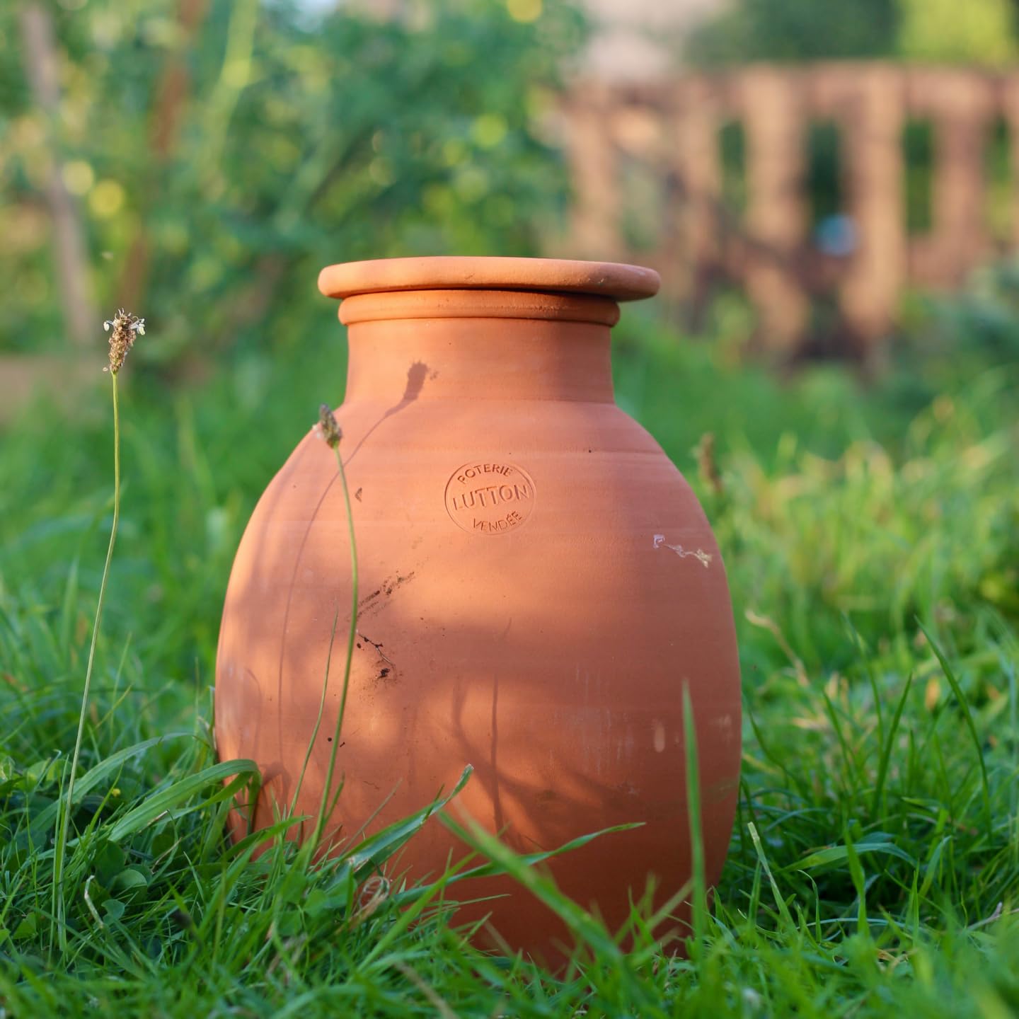 Duo d’Ollas Jardinier Taille L 5 L – Fabrication Française – Arrosage Autonome et Écologique pour Potager et Jardin