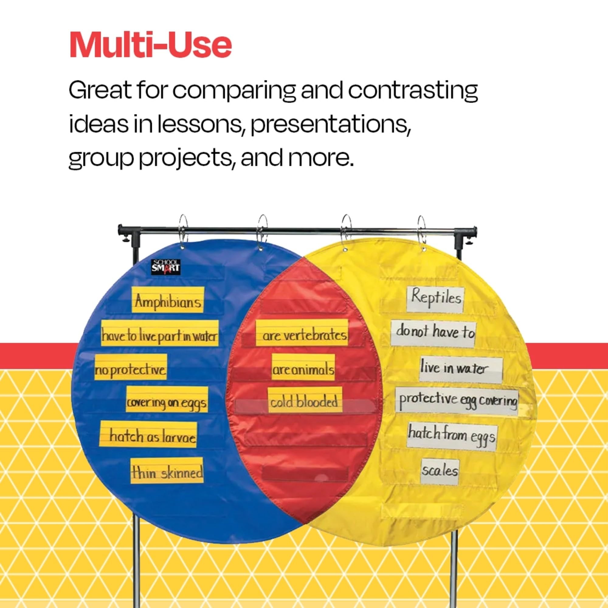 Diagramme De Venn Fiche 4:1 Fiches De Travail Math Center