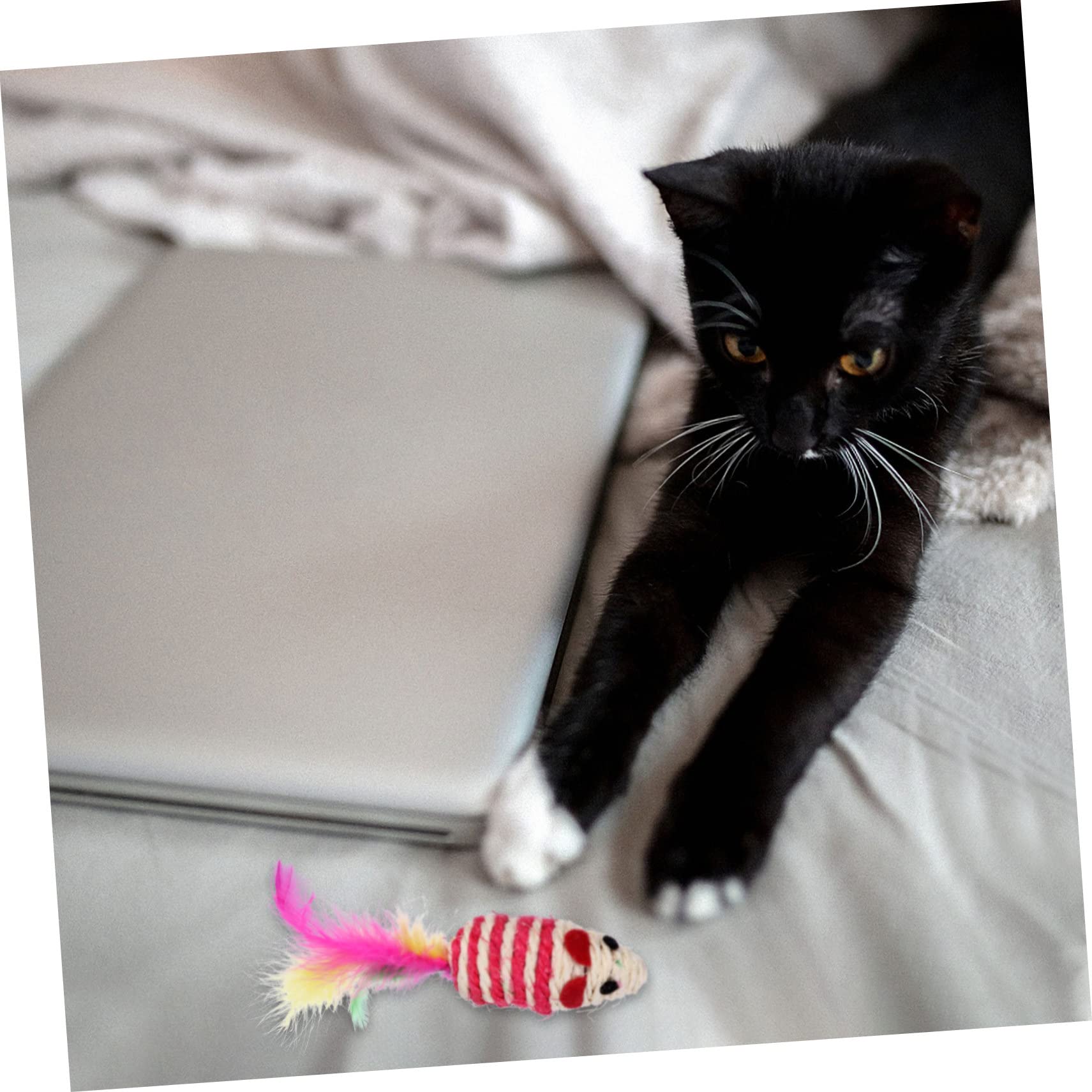 Milisten 40 Uds Conjunto De Navidad para Mascotas Juguete De para Gatos Divertido Palo para Gato Juguetes para Gatos Varita De Juguete Interactiva para Gatos Juguete De Peluche