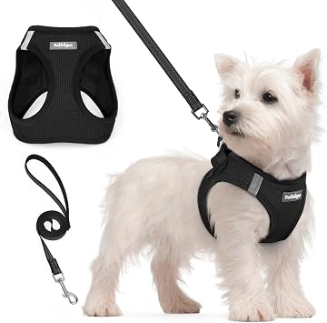 rabbitgoo Small Dog Harness and Lead Set, Step-in Soft Mesh Puppy Harness