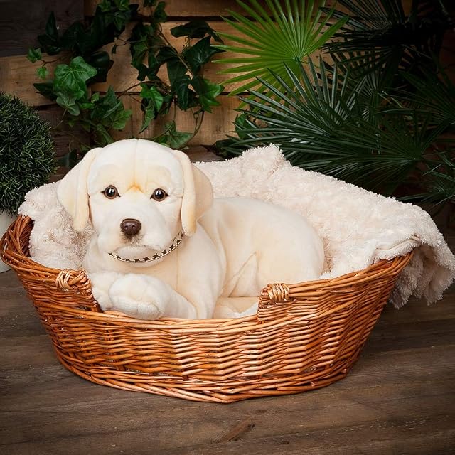 Foto 4 de 8 de Nature-AN482 Living Nature - Peluche gigante para perro labrador, color dorado (60 cm), Keycraft AN482…