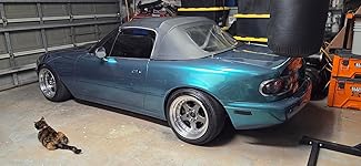 Review Image by C. Cruz C. Cruz