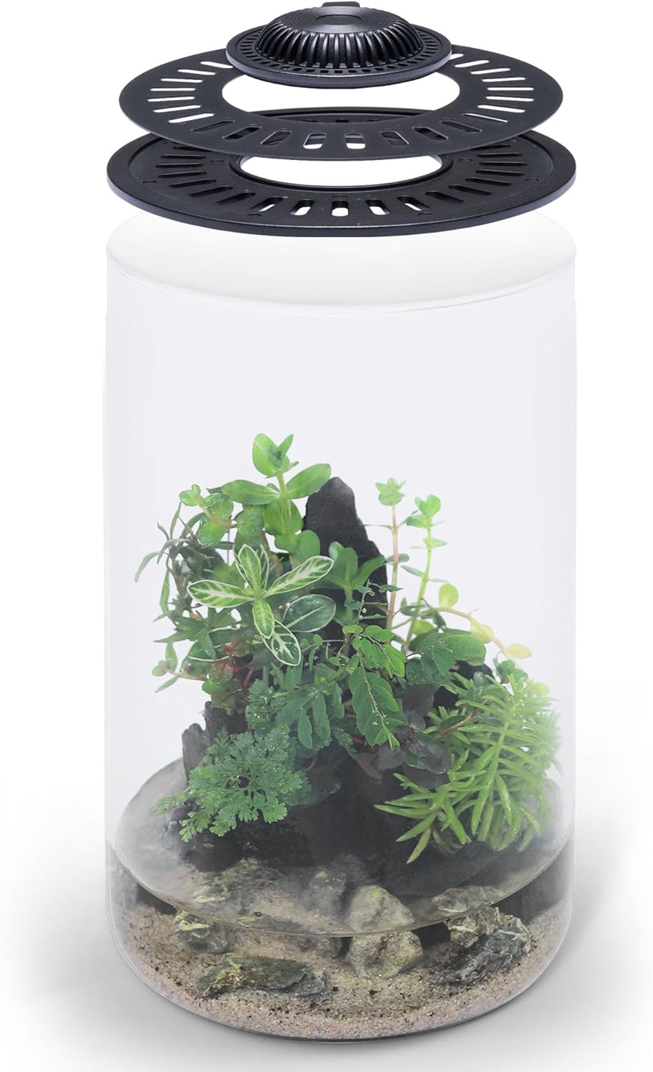 Bio Cylinder – Glass Plant Terrarium Kit – Glass Terrarium w/LED Grow Light, Adjustable Ventilation Lid, Substrate, Moss & Accent Rocks – Bio Cylinder 150