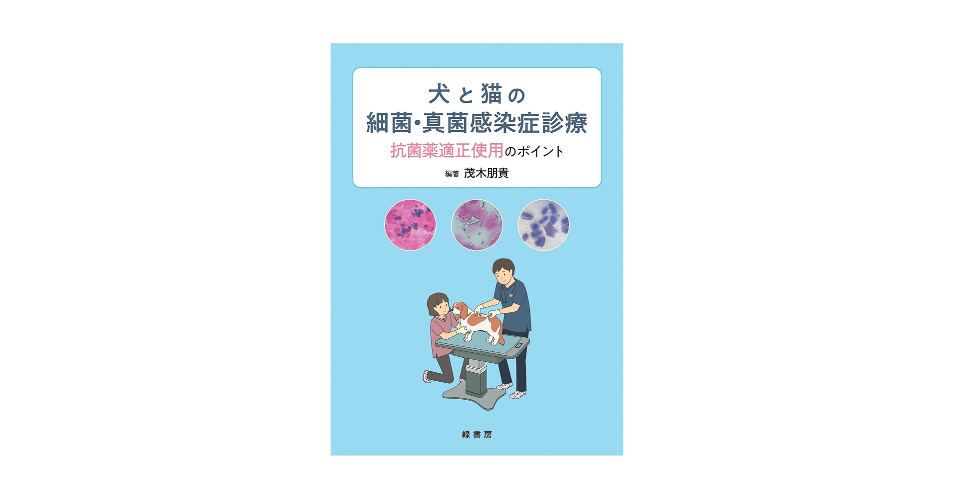 【裁断済み】犬と猫の細菌・真菌感染症診療　抗菌薬適正使用のポイント 犬と猫の細菌・真菌感染症診療:抗菌薬適正使用のポイント | 茂木