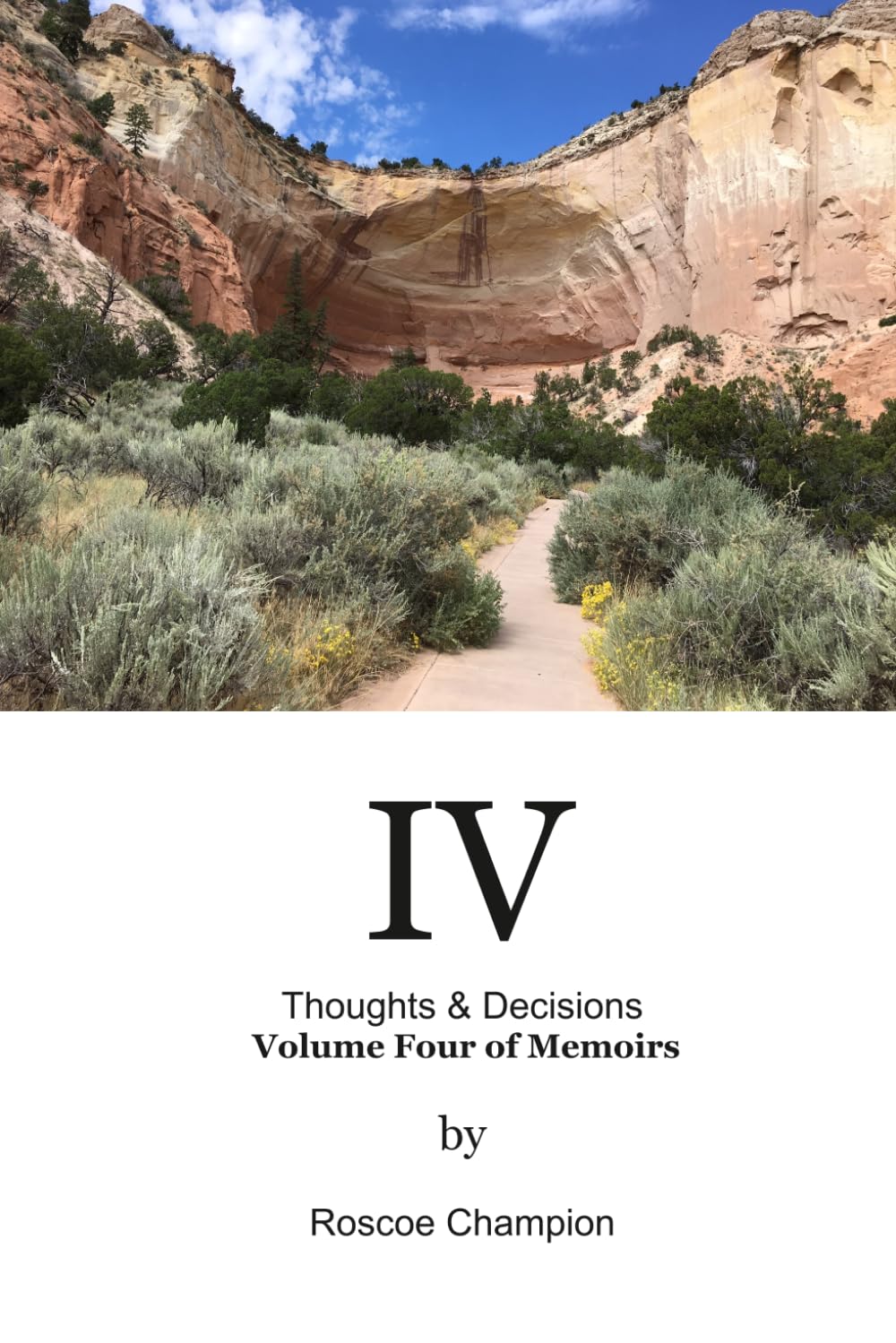 IV Thoughts & Decisions: Volume Four of Memoirs