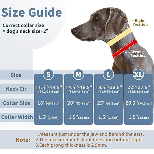 Miniatura 4 de Mayerzon Collar de perro sin tirones, collar de martingala para perros pequeños, medianos y grandes, collar antitirones con hebilla y nailon