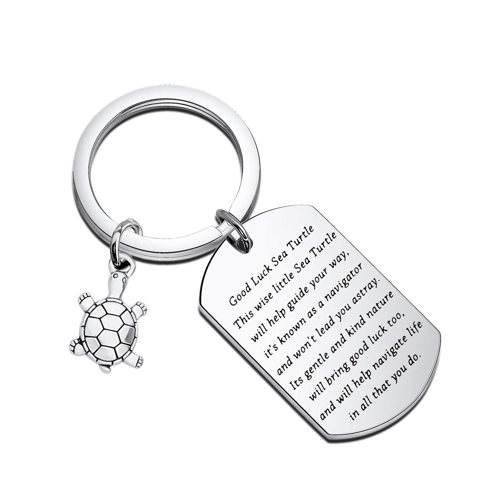 BNQL Sea Turtle Keychain Good Luck Sea Turtle Gifts Turtle Keyring Tortoise Charm Lucky Turtle Gifts for Turtle Lovers Friends (SILVER)