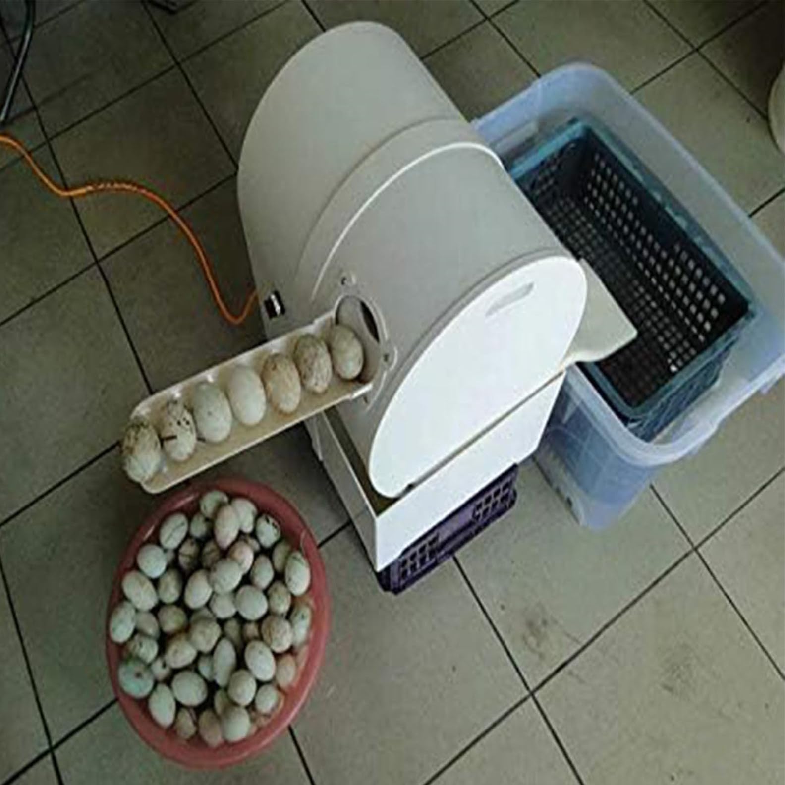 Pralka Do Jajek Szczotkowych O Mocy 120 W, Pralka Do Jaj Kaczych Brudnych, Pralka I Maszyna Do Czyszczenia Jaj Drobiowych, Pralka Do Jaj Kaczych,220V