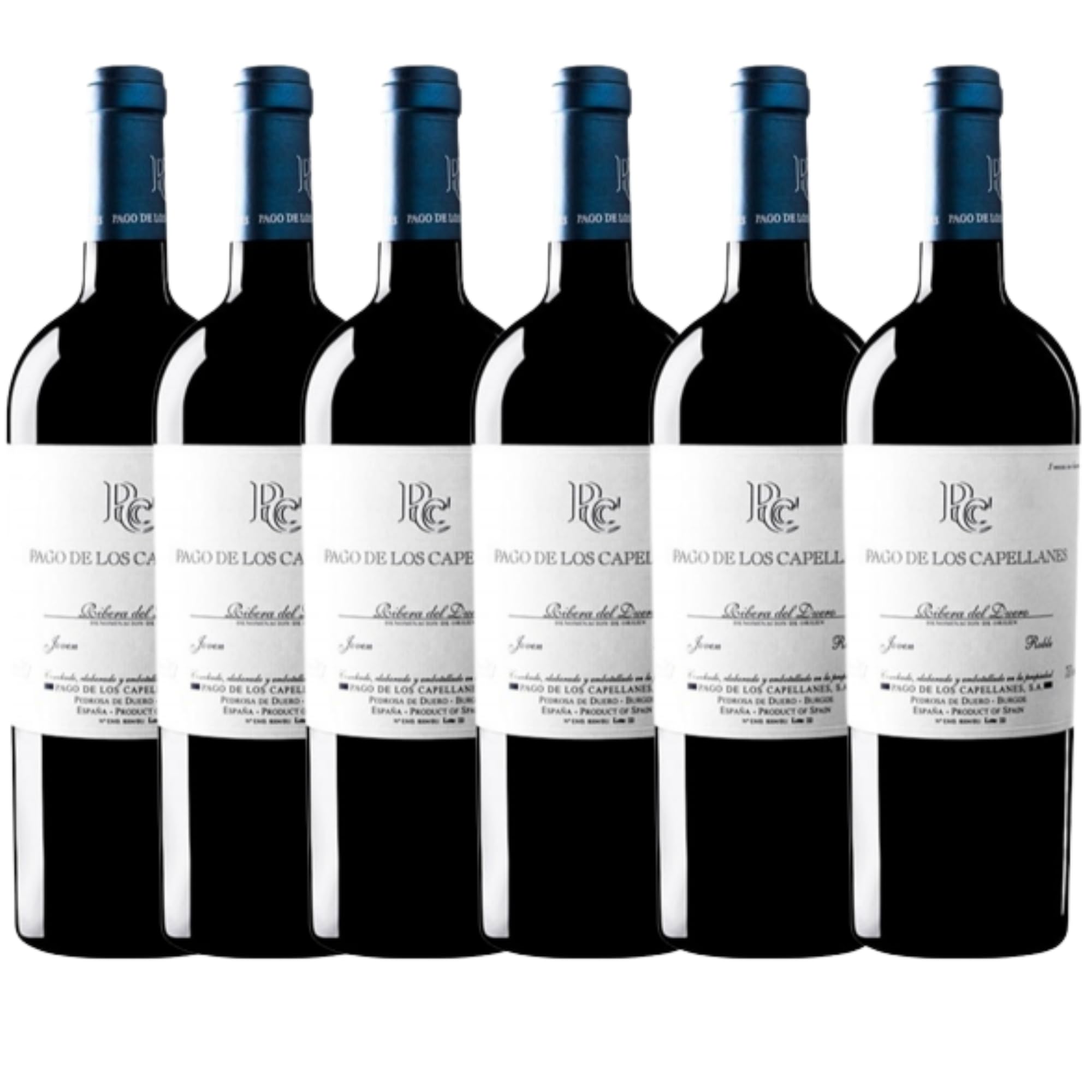 Caja de 6 Botellas Pago de los Capellanes Joven Roble 2020 (6x75cl)