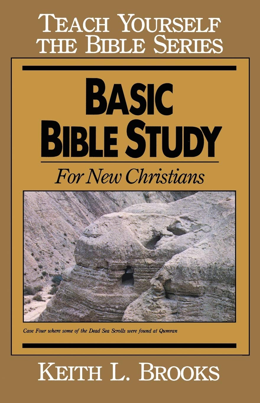 Basic Bible Study for New Christians (Teach Yourself The Bible Series)