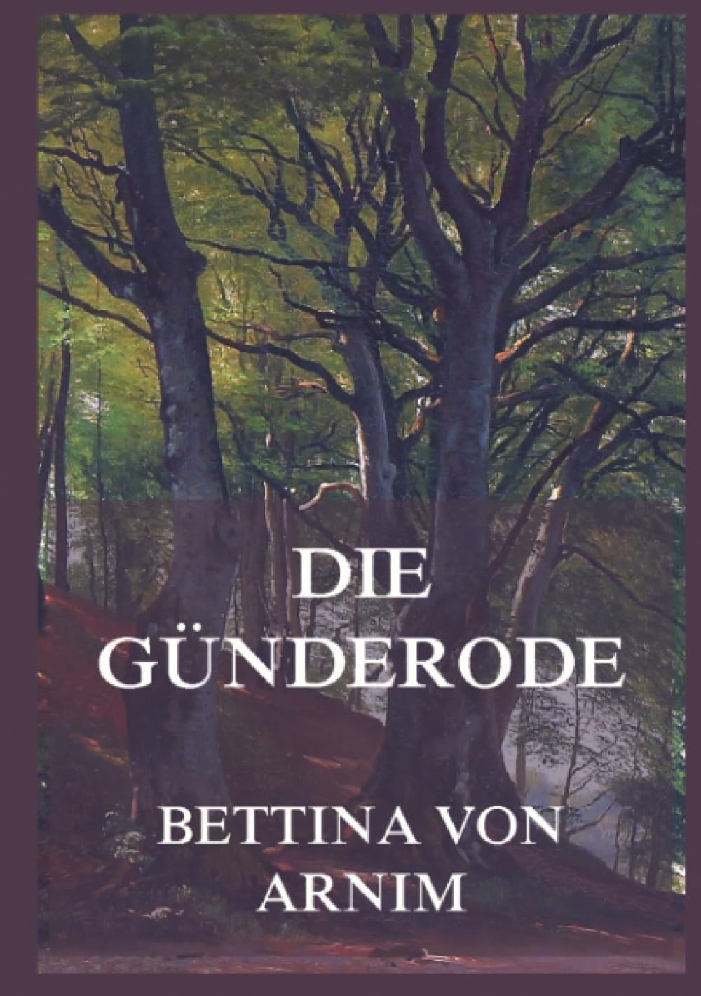 Die Günderode: Zwei junge Frauen, ein Briefwechsel, eine Freundschaft, und Antworten auf die großen Fragen des Lebens.