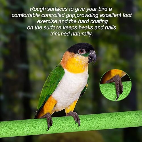 Reginary 12 Pcs Bird Perch Stand Toy Includes 6 Parrot Perch Wood Stand Bird Platform 6 Colorful Paw Grinding Stick for Cage Accessories Parakeet Cockatiel, 6 Colors