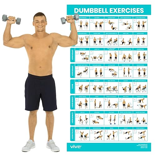 Vive Dumbbell Workout Poster - Home Gym Exercise for Upper,
