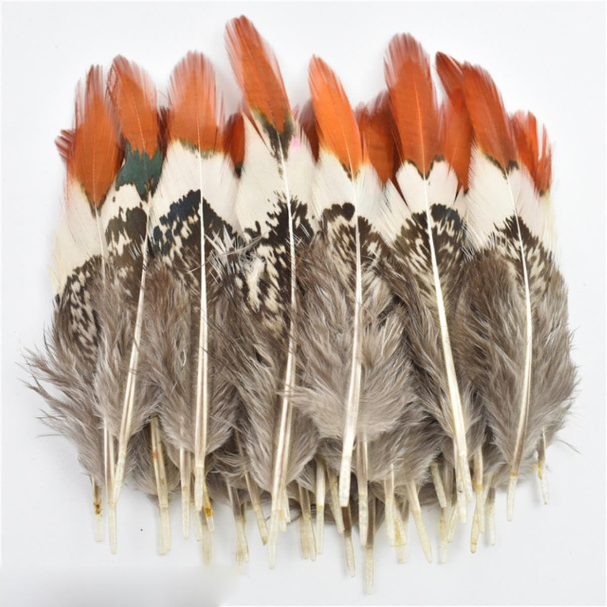 Natürliche Pfauenfasanenfedern, kleine Hühnergänsefedern, Materialien, Bastelzubehör, Dekoration, Größe 5–10 cm, 500 Stück