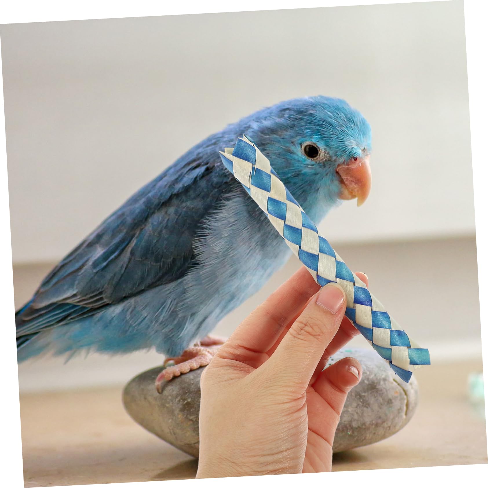 BESPORTBLE Jouets à Mâcher pour Oiseaux Piège à Doigts Lot de Jouets pour Perroquets sans Bavures pour Cage à Oiseaux Fournitures de Fête Danniversaire Couleur Aléatoire