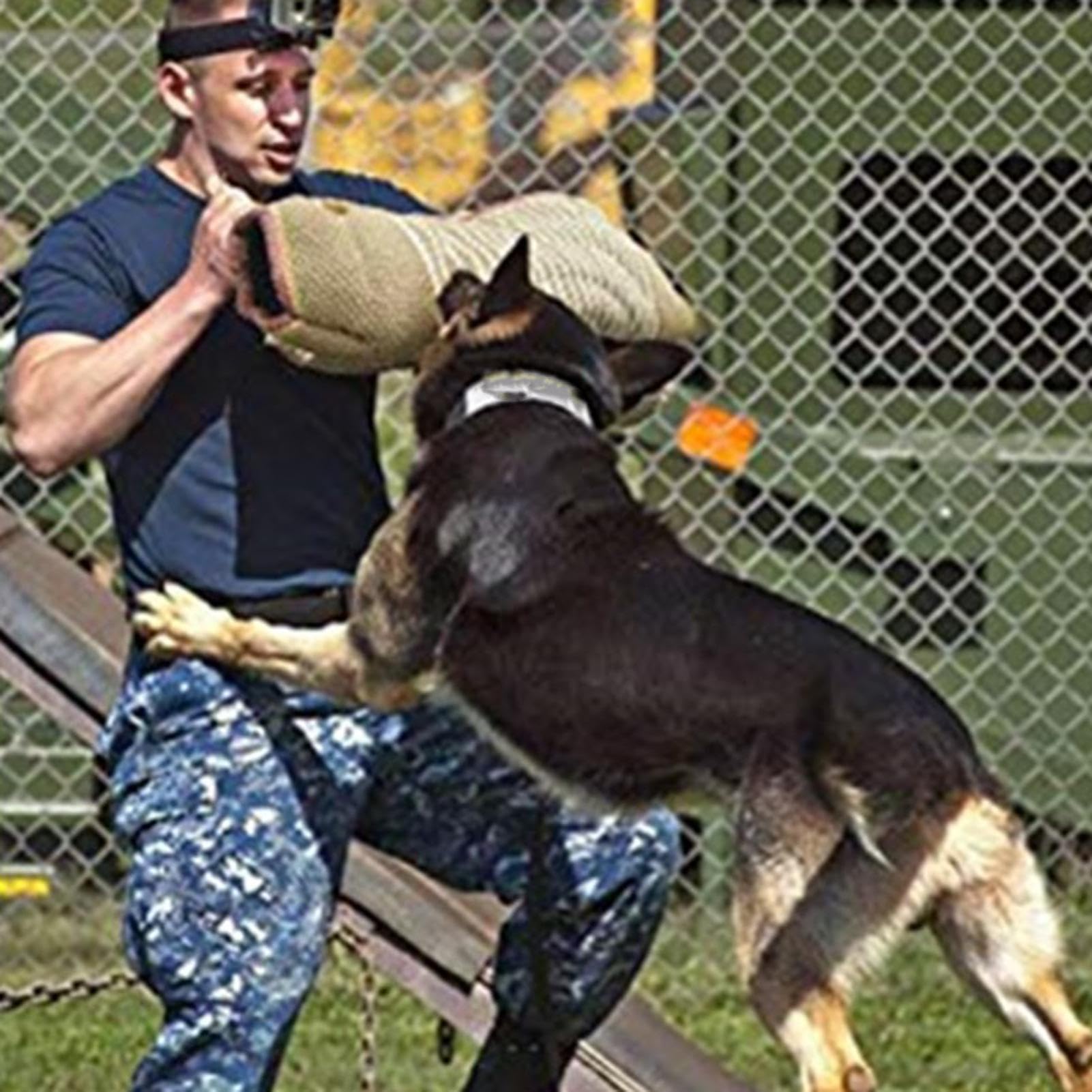 Brazo protector para mordeduras de perros, manguitos de entrenamiento para perros, cojín para mordedor, para jardín, casa, entrenamiento, camping, patio trasero, césped al aire libre