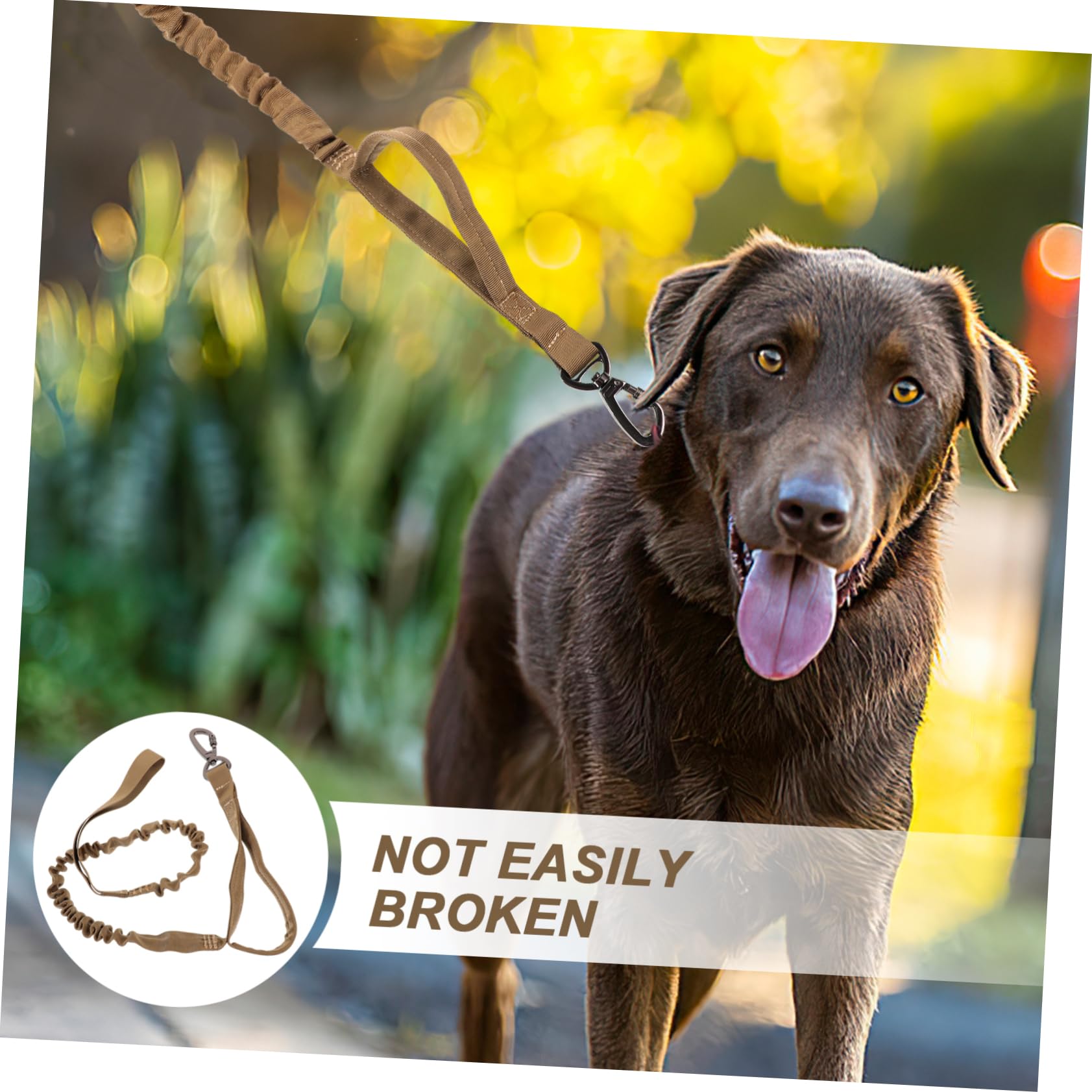 Kisangel 3pièces Laisse De Dressage pour Chien Nylon Élastique Réglable Parfaite pour Promenades Activités Extérieur