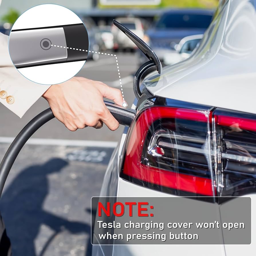 テスラ　ポケット・プレート テスラ ポケット・プレート テスラ ポケット・プレート - 元