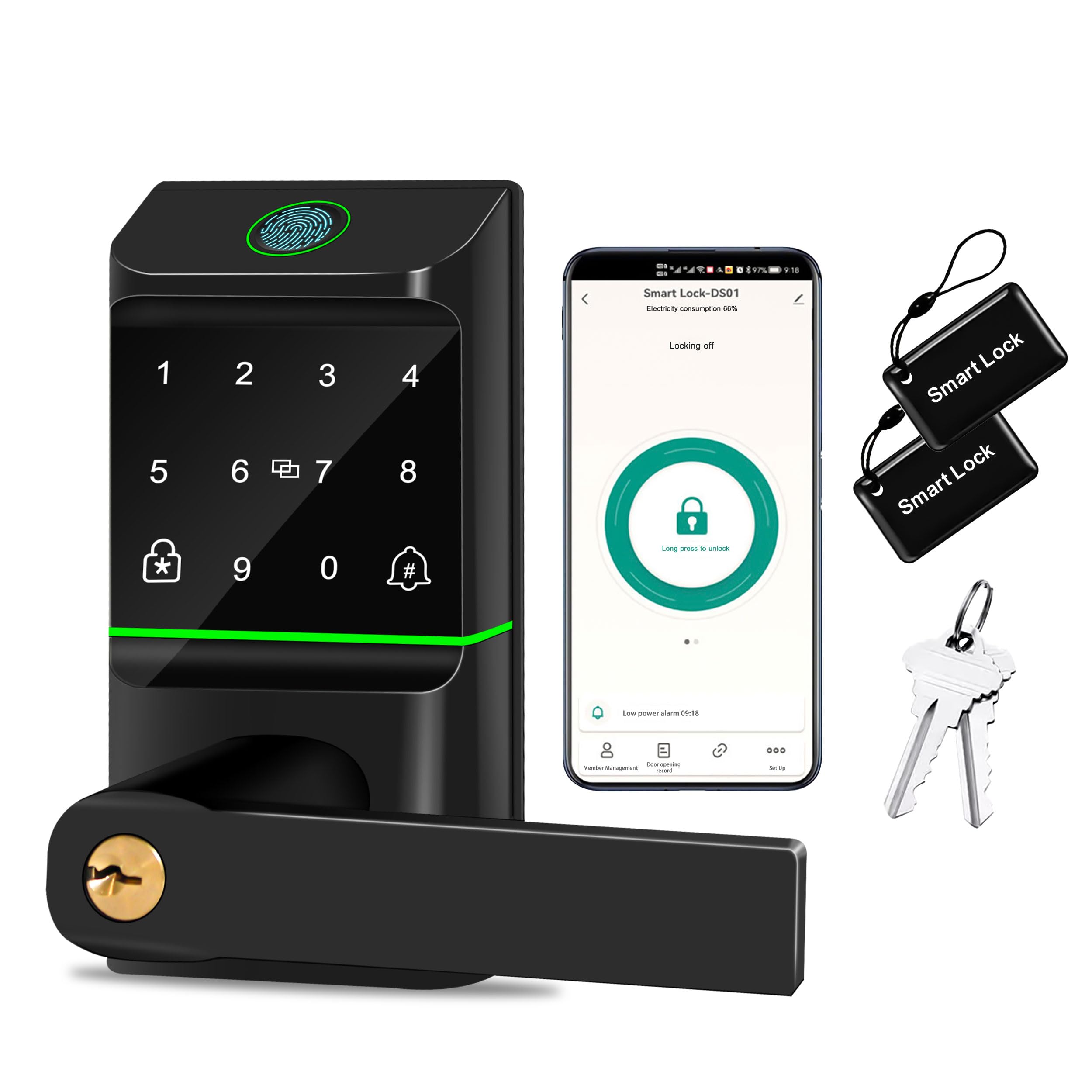 Serrure de porte automatique à entrée sans clé, serrure intelligente avec bouton de porte, empreinte digitale biométrique, code de passe, clavier électronique, contrôle par application pour jardin