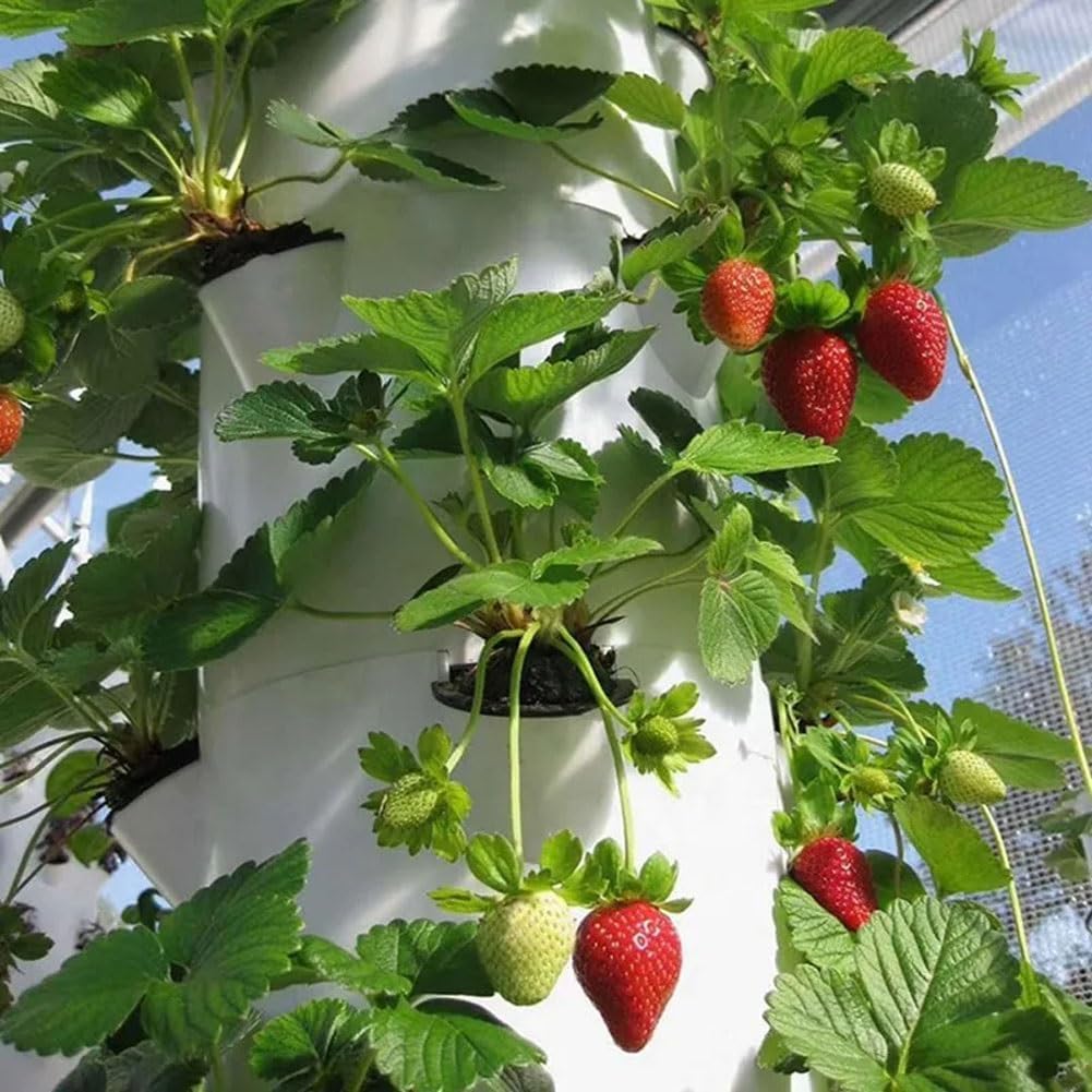 Hydroponik-Turm, Garten-Hydrokultur-Anbausystem, Aeroponik-Anbauset für Kräuter, Obst und Gemüse mit Hydratationspumpe, Adapter, Netztöpfen, Timer für Obst, Gemüse und Kräuter 30 Löcher