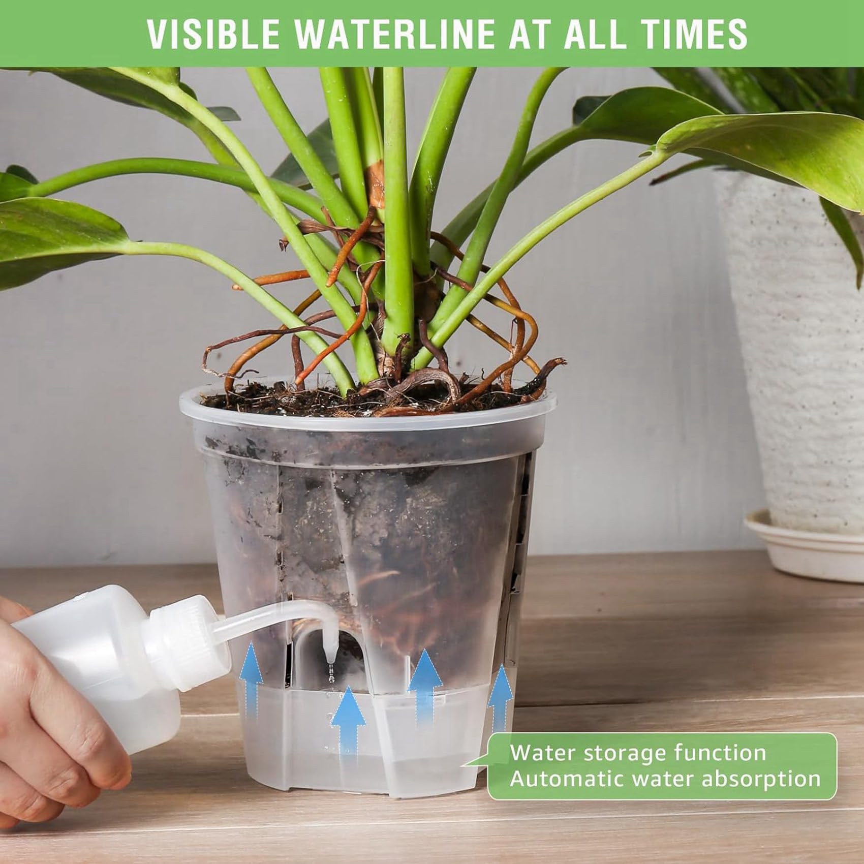 Pots de Jardin en Plastique Transparent de 6 Pouces, Jardinières à Arrosage Automatique, Paquet de 15 Pots de Plantes de Pépinière en Plastique avec Réservoir Profond