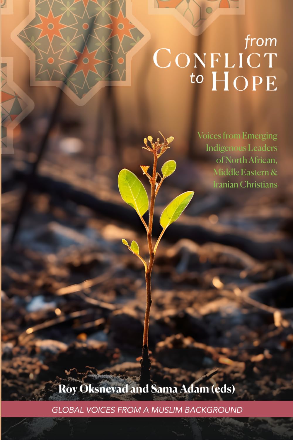 From Conflict to Hope: Voices from Emerging Indigenous Leaders of North African, Middle Eastern and Iranian Christians (Global Voices from a Muslim Background)