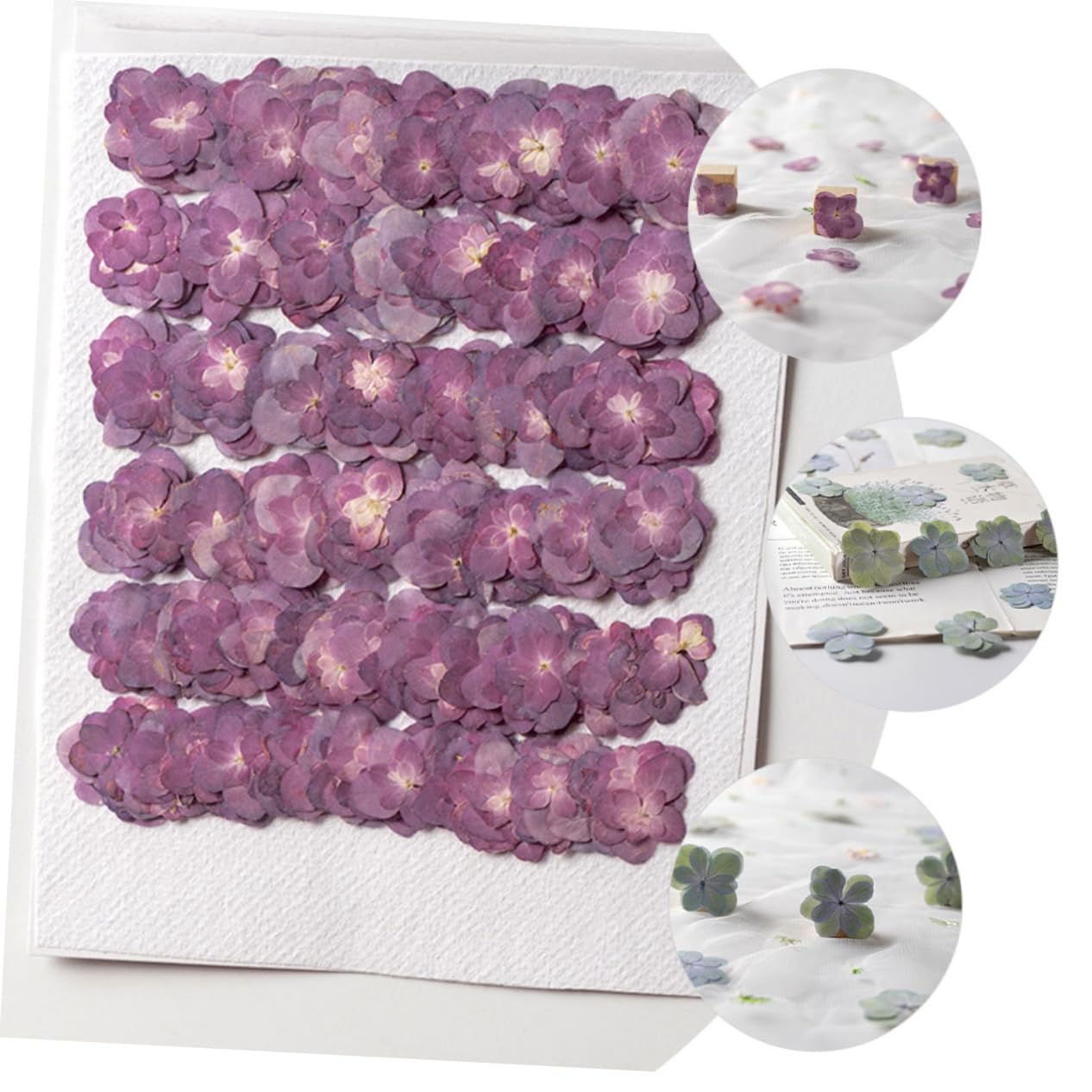 MAGICLULU 2 Ensembles Fleurs Séchées pour La Résine Mariage Décor Bouquet De Fleurs Séchées Pressé Sec Petites Fleurs pour La Résine 30 Pièces * 2