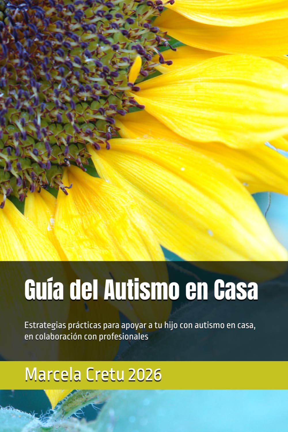 Guía del Autismo en Casa: Estrategias prácticas para apoyar a tu hijo con autismo en casa, en colaboración con profesionales