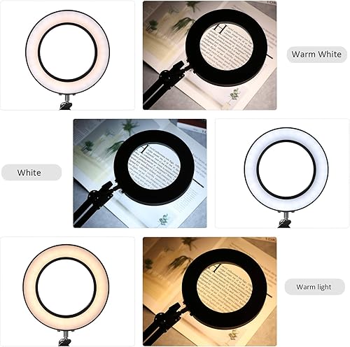Miniatura 3 de Meichoon Lámpara de escritorio con lupa, lente de cristal 10X, 64 luces LED, 3 modos de atenuación, fuente de alimentación USB, lámpara profesional