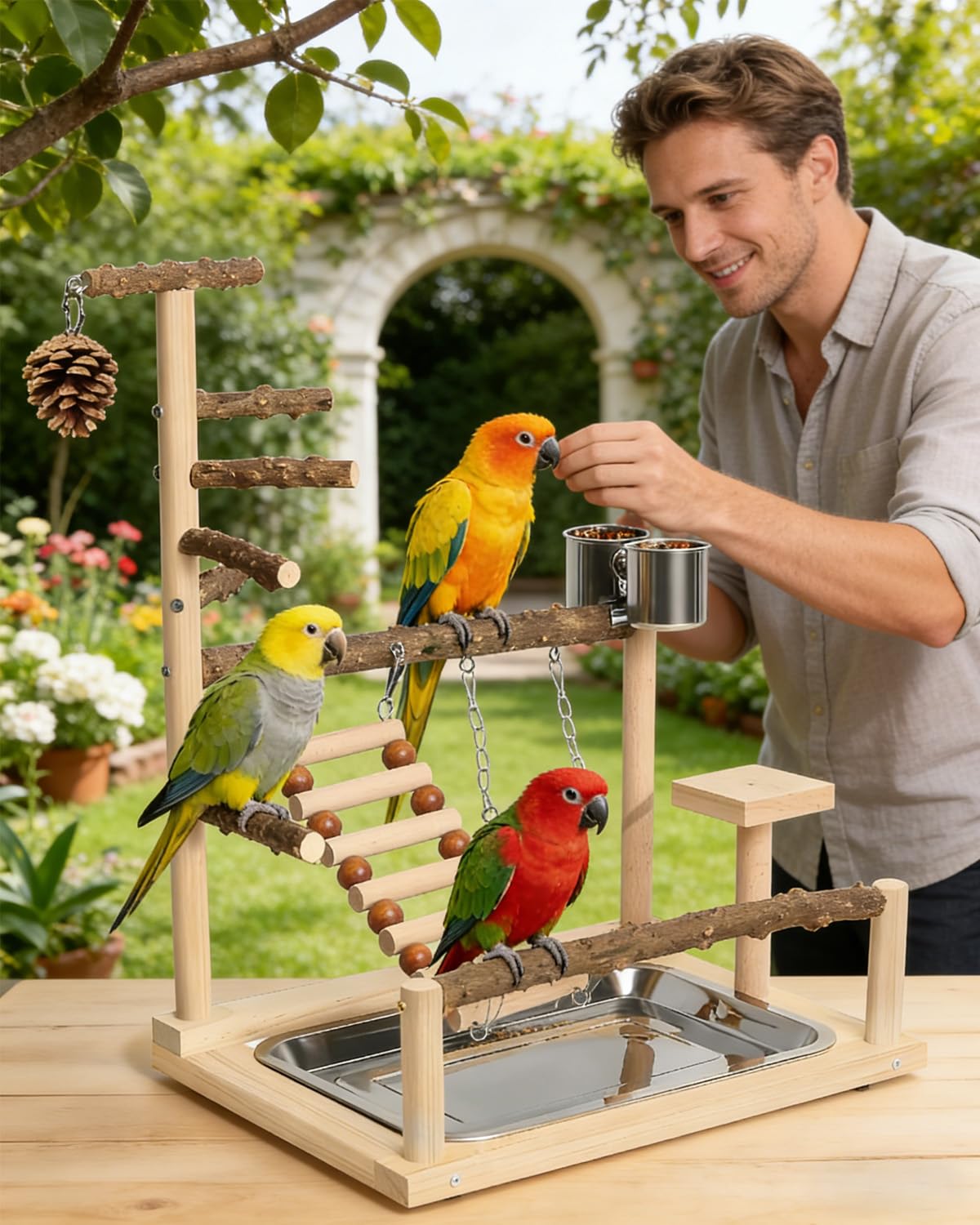 Aire de jeux pour oiseaux, perchoir pour perroquet, support de jeu en bois naturel pour calopsitte, perchoir en bois, échelle avec plateau et 2 tasses en acier inoxydable, accessoires de cage à