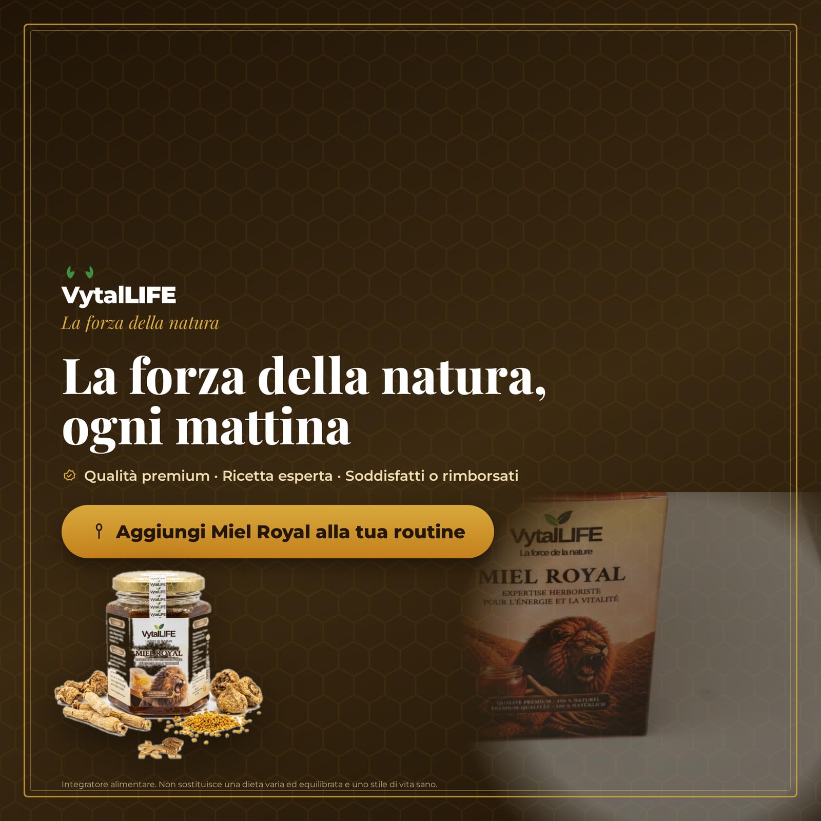Miele Afrodisiaco VytalLIFE per Uomo | Miele Puro con Ginseng, Maca e Pappa Reale | Per Chi Cerca Testosterone Uomo, Libido e Vitalità 100% Naturale | Royal Honey Per Una Routine Naturale Di Vitalità