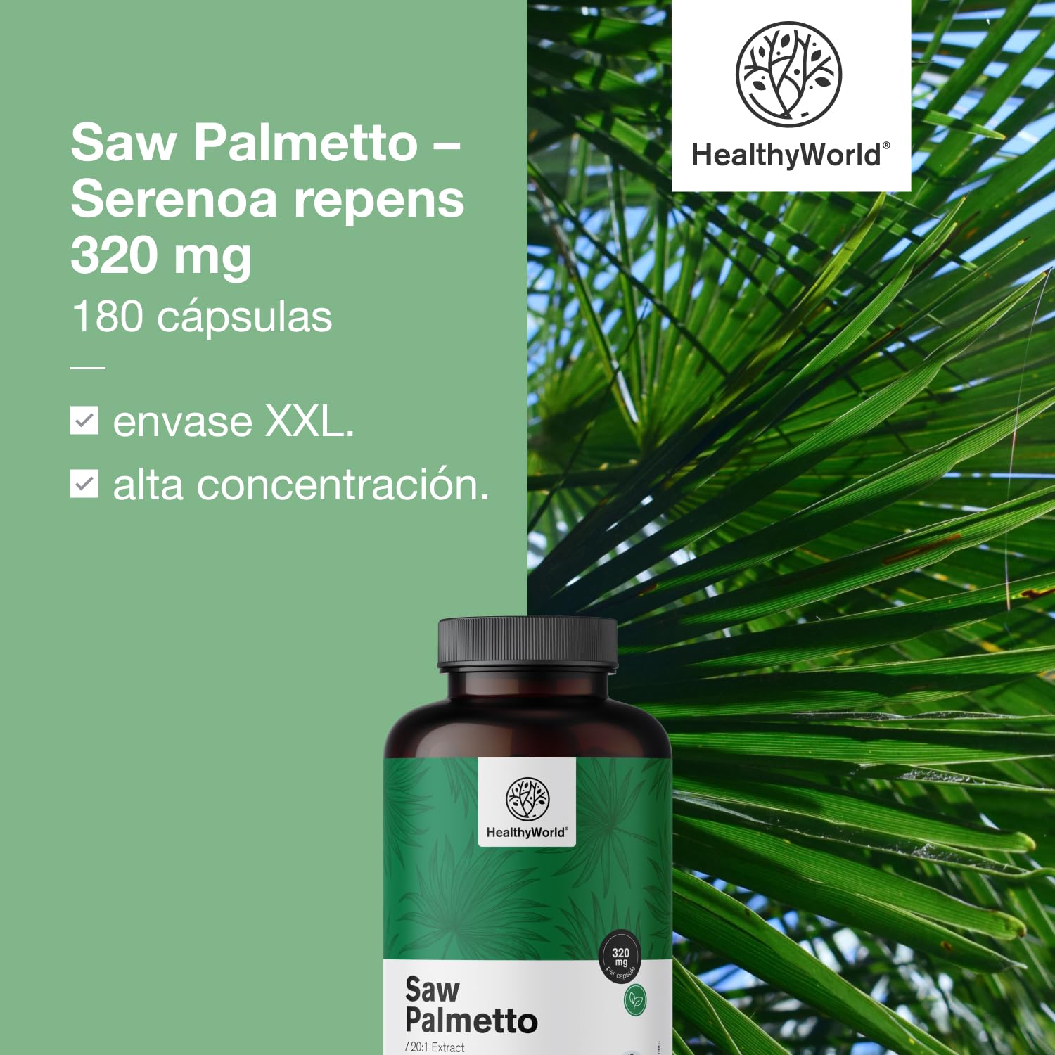 HealthyWorld Saw Palmetto – Serenoa repens con suplemento de zinc – Extracto 20:1 – 180 cápsulas vegetales – Apoyo a la próstata – Envase XXL – Para 6 meses